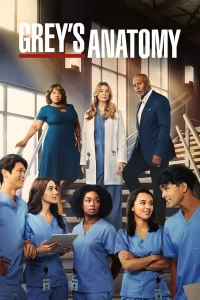 Grey's Anatomy - Saison 19