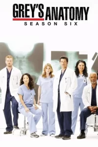 Grey's Anatomy - Saison 6