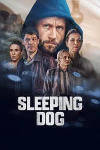 Sleeping Dog - Saison 1
